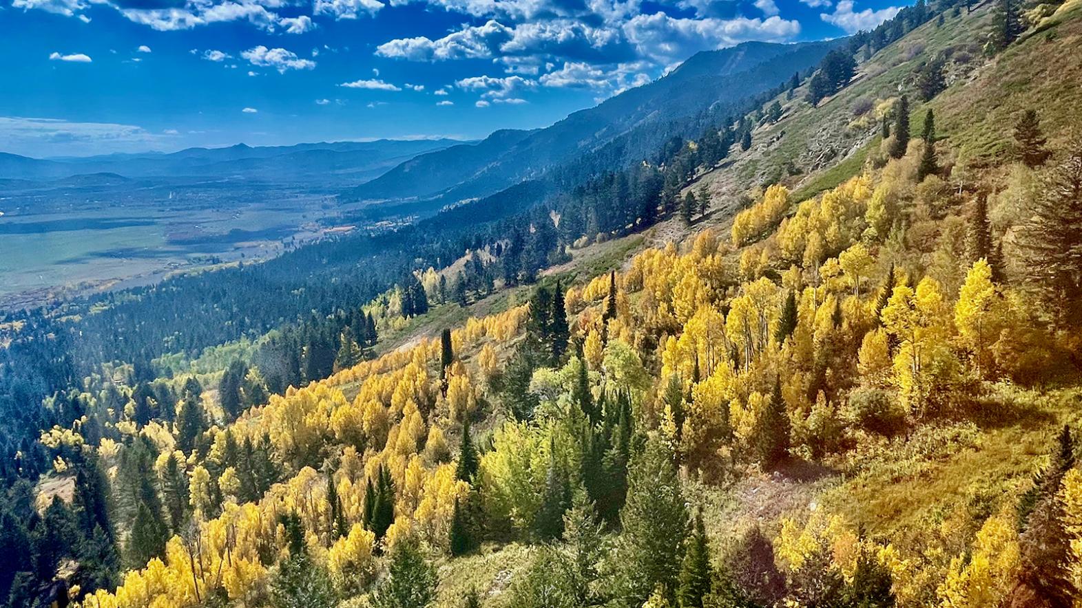 Mountain side view